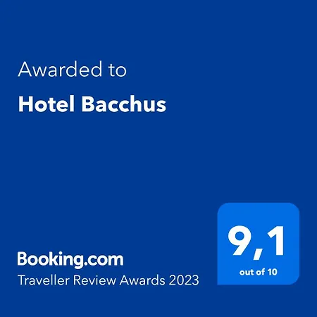 Bacchus Hotell 3*